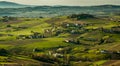 Morning lights on vineyards, Beaujolais, France