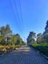 Morning Long lonely road in the cold morning Royalty Free Stock Photo