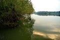 That morning, Mae Klong was as clear as a mirror.