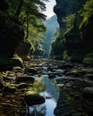 Morning Magic: A Serene Journey Through a Verdant Canyon with a Royalty Free Stock Photo