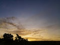 Morning sky with silhoutte tree