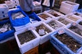 Morning market scene of the fish market in Japan.