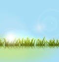 Morning meadow grass green reflection in river Royalty Free Stock Photo
