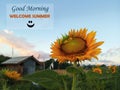 Morning message. Summer greetings- Good morning, welcome summer. with smiling emoticon welcoming new season and beautiful