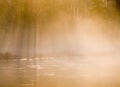 Morning Mist Royalty Free Stock Photo