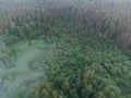 Morning Mist: Aerial View of Enchanting Forest Landscape at Sunrise Royalty Free Stock Photo