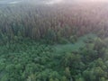 Morning Mist: Aerial View of Enchanting Forest Landscape at Sunrise Royalty Free Stock Photo