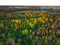 Morning Mist: Aerial View of Enchanting Forest Landscape at Sunrise Royalty Free Stock Photo