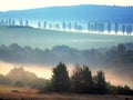 Morning mist- Bohemian forest Royalty Free Stock Photo