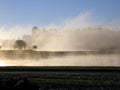 Morning Mist on the Course Royalty Free Stock Photo