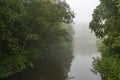 The morning mist creates an intimate atmosphere at this tree-surrounded pond in the Westerpark in Zoetermeer Royalty Free Stock Photo