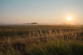 Morning mist, dawn over the wheat field