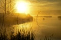 Morning mist on the lake in the sun