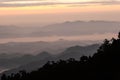 Morning Mist On The Mountain - Khun Sathan, Thailand