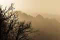 Morning mist mountains landscape at zhangjiajie