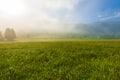 Mist over Austrian landscape Royalty Free Stock Photo