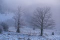 Morning mist over a forest in winter. Hike to hill Velky Inovec in winter. Beautiful Slovak frozen nature and forest.