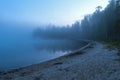 Morning mist over the river