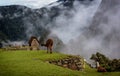 Morning mist rising above Macchu Pichu Valley, Peru Royalty Free Stock Photo