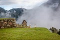 Morning mist rising above Macchu Pichu Valley, Peru Royalty Free Stock Photo