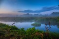 Morning mist on the river