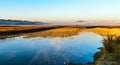 Mist in winter at Jim Corbett