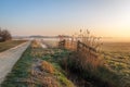 Morning fog in a wintry Dutch polder landscape Royalty Free Stock Photo