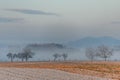 Morning mists in the plain in winters