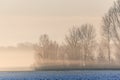 Morning mists in the plain in winters