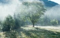 Morning misty autumn mountain landscape Royalty Free Stock Photo