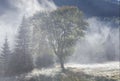 Morning misty autumn mountain landscape Royalty Free Stock Photo