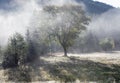 Morning misty autumn mountain landscape Royalty Free Stock Photo