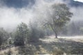 Morning misty autumn mountain landscape Royalty Free Stock Photo