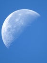 Morning moon Royalty Free Stock Photo