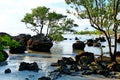 Rocks and trees on tropical beach early mornig Royalty Free Stock Photo