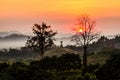 Morning mountain mist Royalty Free Stock Photo