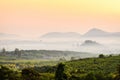 Morning mountain mist Royalty Free Stock Photo