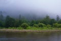 Morning on a mountain river, forest shores and light fog Royalty Free Stock Photo