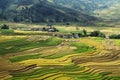 Morning over the terraces Royalty Free Stock Photo