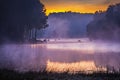 In the morning, Pang Ung Forestry Plantations,Thailand