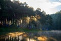 Morning in Pang Ung Lake,North of Thailand Royalty Free Stock Photo