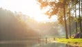 Morning in Pang Ung Lake,North of Thailand, is a tourist place where people come to vacation Royalty Free Stock Photo