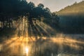 Morning in Pang Ung Lake,North of Thailand Royalty Free Stock Photo