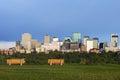 Morning panorama of Edmonton Royalty Free Stock Photo