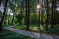 Morning park outdoor place with sunny weather and sun rays between trees empty paved cycle road Royalty Free Stock Photo