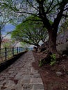 A morning path through pandavleni Royalty Free Stock Photo
