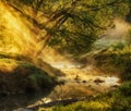 Morning. a picturesque foggy dawn by the river. Sun rays Royalty Free Stock Photo