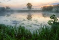 Morning. A picturesque foggy dawn by the river. Sun rays Royalty Free Stock Photo