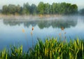 Morning. a picturesque foggy dawn by the river. Sun rays Royalty Free Stock Photo