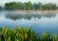 Morning. a picturesque foggy dawn by the river. Sun rays Royalty Free Stock Photo